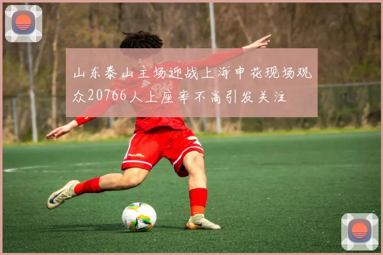 山东泰山主场迎战上海申花现场观众20766人上座率不高引发关注